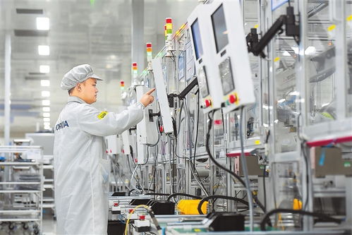 綠色智能 圖自動(dòng)識(shí)別技術(shù)在可持續(xù)發(fā)展中的創(chuàng)新應(yīng)用與開(kāi)發(fā)